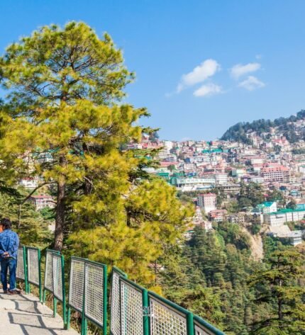 Shimla Manali - Honeymoon